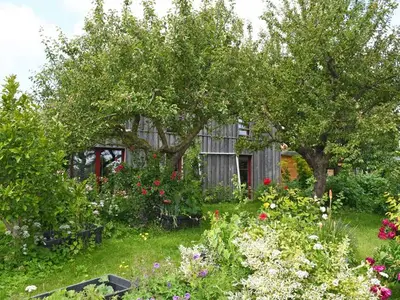 Ferienwohnung für 6 Personen (75 m²) in Stralsund 7/10