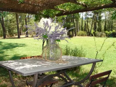 Außenansicht des Gebäudes. Gartenlaube