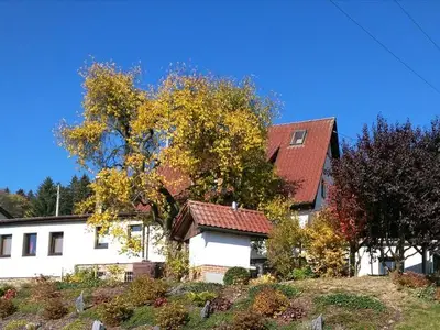 Ferienwohnung für 4 Personen (53 m²) in Klingenthal 2/10