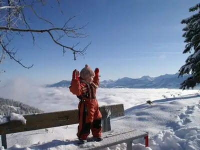 Ferienwohnung für 4 Personen (53 m²) in Bolsterlang 3/10