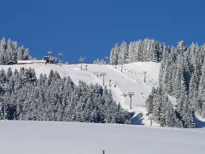 Ferienwohnung für 4 Personen (53 m²) in Bolsterlang 4/10