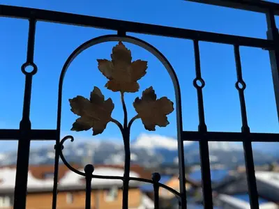 Ferienwohnung für 4 Personen (53 m²) in Bolsterlang 10/10