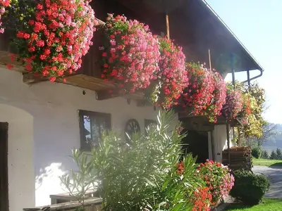 Hoferpeter_Blütenpracht_Oststeiermark