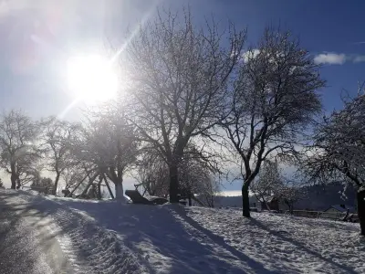 Familie Grabner_Winter_Oststeiermark