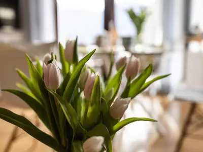 Essbereich Fewo Bergkristall