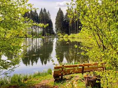 Ferienwohnung für 4 Personen in Oberbach 1/10