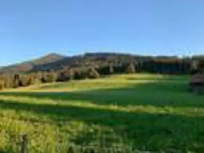 Ferienwohnung für 1 Person (20 m²) in Bad Kohlgrub 2/10