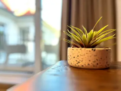 Dekoratives Detail im Wohnbereich