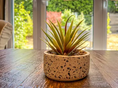 Dekoratives Detail im Wohnzimmer