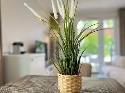 Wohn-und Essbereich mit Dekoratives Detail