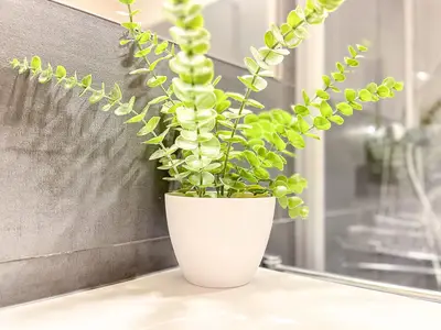 Dekoratives Detail im Badezimmer