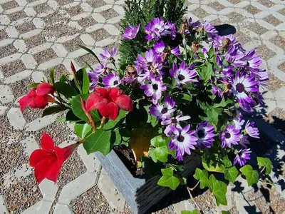 Ferienwohnung für 8 Personen (90 m²) in Wunstorf 3/10