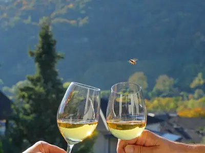 Zum Wohl mit einem Glas Wein aus eigenem Weingut