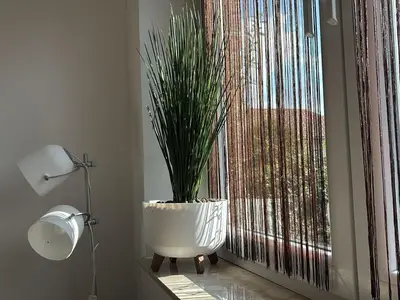 Pension Hirschburg Ferienwohnung 11 - Bad Sülze-1