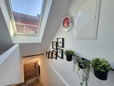 Ferienwohnung für 3 Personen (40 m²) 3/10