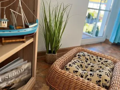 Ferienwohnung für 5 Personen (44 m²) in Loddin (Seebad) 5/10