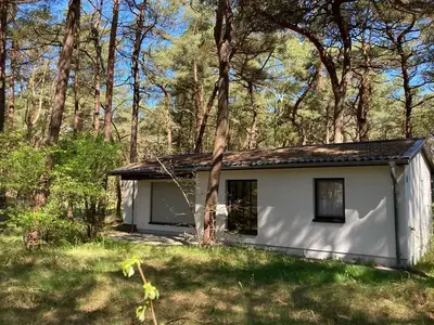 Ferienwohnung für 4 Personen (50 m²) in Breege 1/10