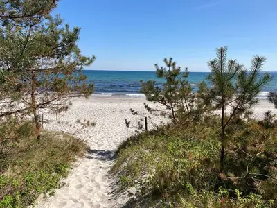 Ferienwohnung für 4 Personen (50 m²) in Breege 5/10