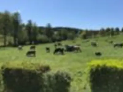 Ferienwohnung für 4 Personen (75 m²) in Mossautal 9/10