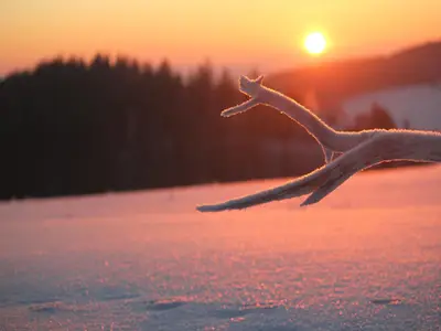 Ferienwohnung für 5 Personen (50 m²) in Sinsenbach 1/10