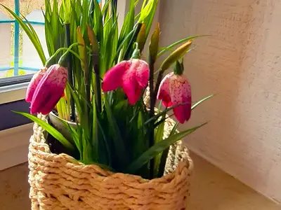 Ferienwohnung für 2 Personen 8/10