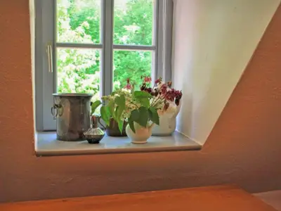 Ambiente / Nahaufnahme