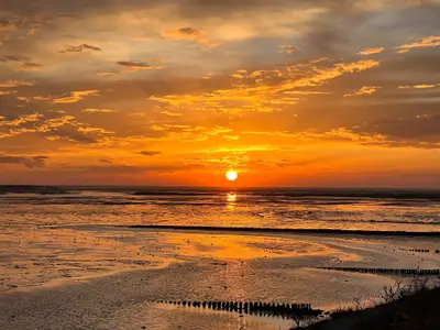 Ferienwohnung für 2 Personen (32 m²) in Wittdün 10/10