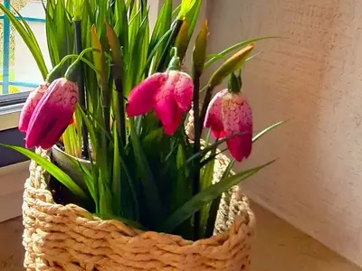 Ferienwohnung für 2 Personen in Wangerland 9/10