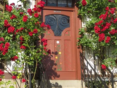 Fachwerkhaus Eingang zur Rosenblüte