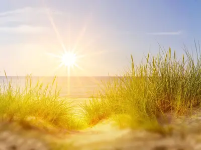 Ferienwohnung Deichblick Zingst Strand