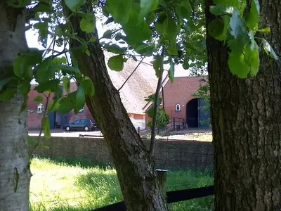 Ferienwohnung für 2 Personen (20 m²) in Stade 2/10