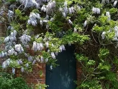 Ferienwohnung für 2 Personen (20 m²) in Stade 3/10