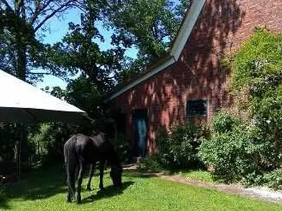 Ferienwohnung für 2 Personen (20 m²) in Stade 5/10