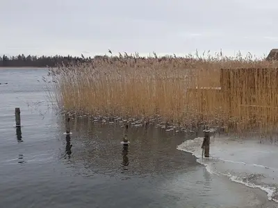 Ferienwohnung für 3 Personen (75 m²) in Krakow am See 3/10