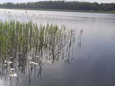 Ferienwohnung für 3 Personen (75 m²) in Krakow am See 10/10