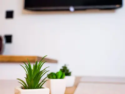 WOHNZIMMER MIT KÜCHENZEILE