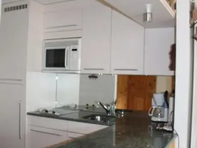 voll ausgeruestete moderne Kueche mit Induktionsplatten, Mikrowave, Ofen, Spuehlmaschine alles NEU