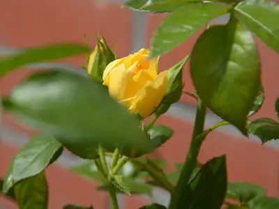 Ferienwohnung für 2 Personen in Pellworm 5/10