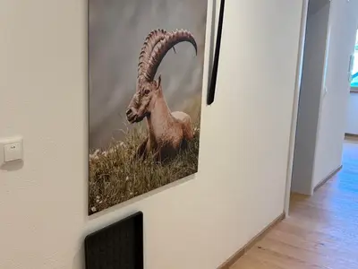 Ferienwohnung für 4 Personen (55 m²) in Obermaiselstein 4/10