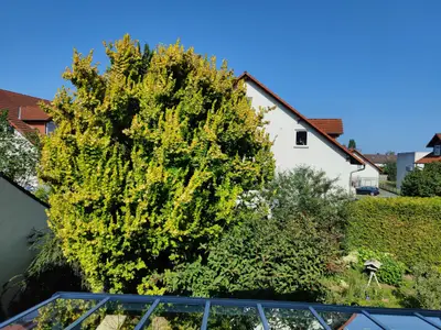 Mona Lisa-Ausblick Richtung Garten