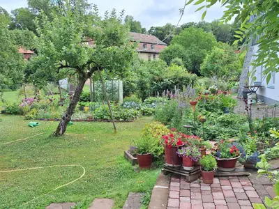 Fewo Schlossstrasse 7-Garten