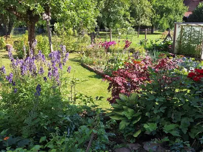 Fewo Schlossstrasse 7- Garten