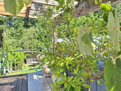 Fewo Schlossstrasse 7- Balkon