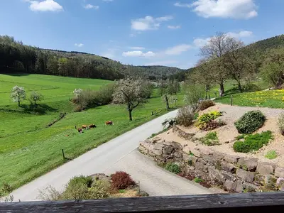 Hennrich-Blick vom Balkon