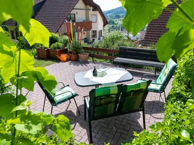 Fewo Hauk-Garten- Haus und Gartenterrasse