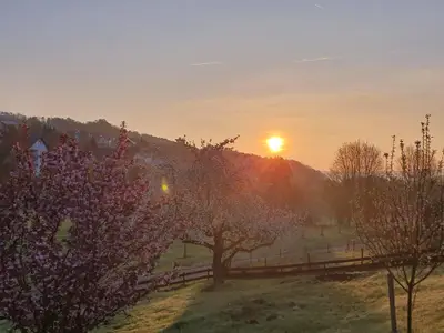 LandLeben-Sonnenaufgang
