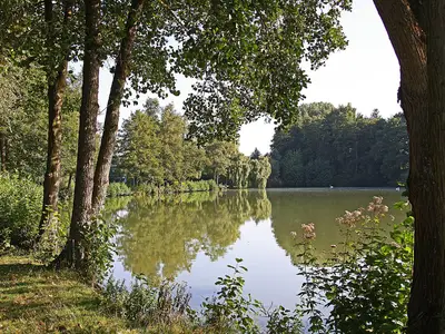 Haus Fernblick-Kurpark Bad König