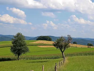 Ferienhof Knöll, Blick aus dem Ferienhaus