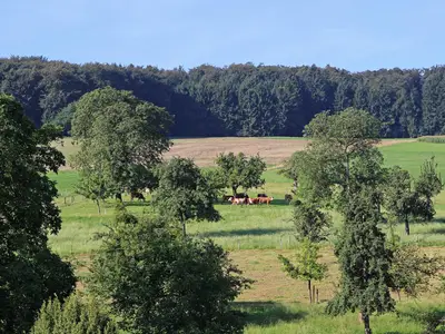 Ferienhof Knöll-Ausblick