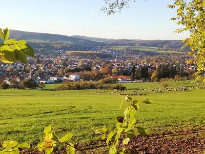 Annettes Ferienwohnung-Blick auf Michelstadt
